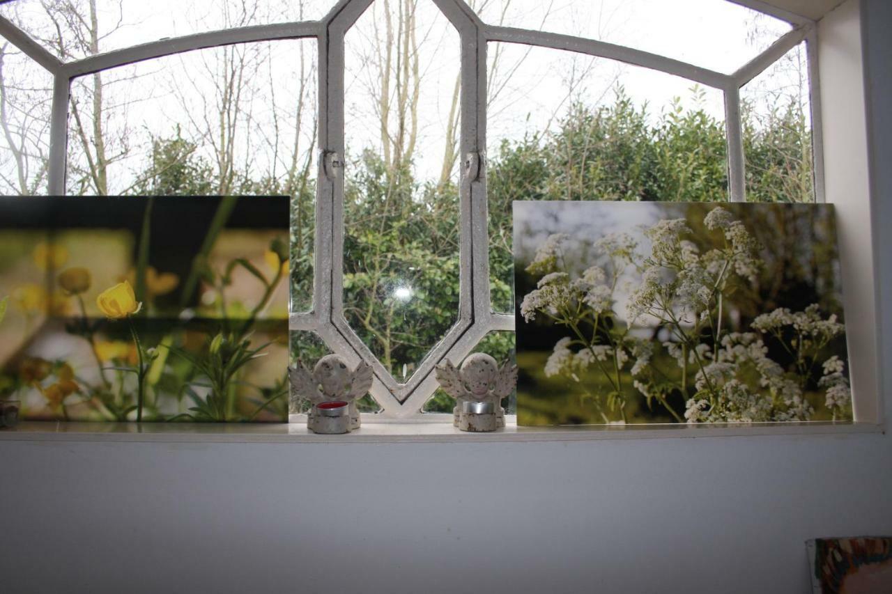 Atelier La Luna Berkenwoude ภายนอก รูปภาพ
